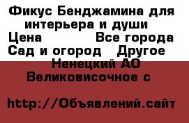 Фикус Бенджамина для интерьера и души › Цена ­ 2 900 - Все города Сад и огород » Другое   . Ненецкий АО,Великовисочное с.